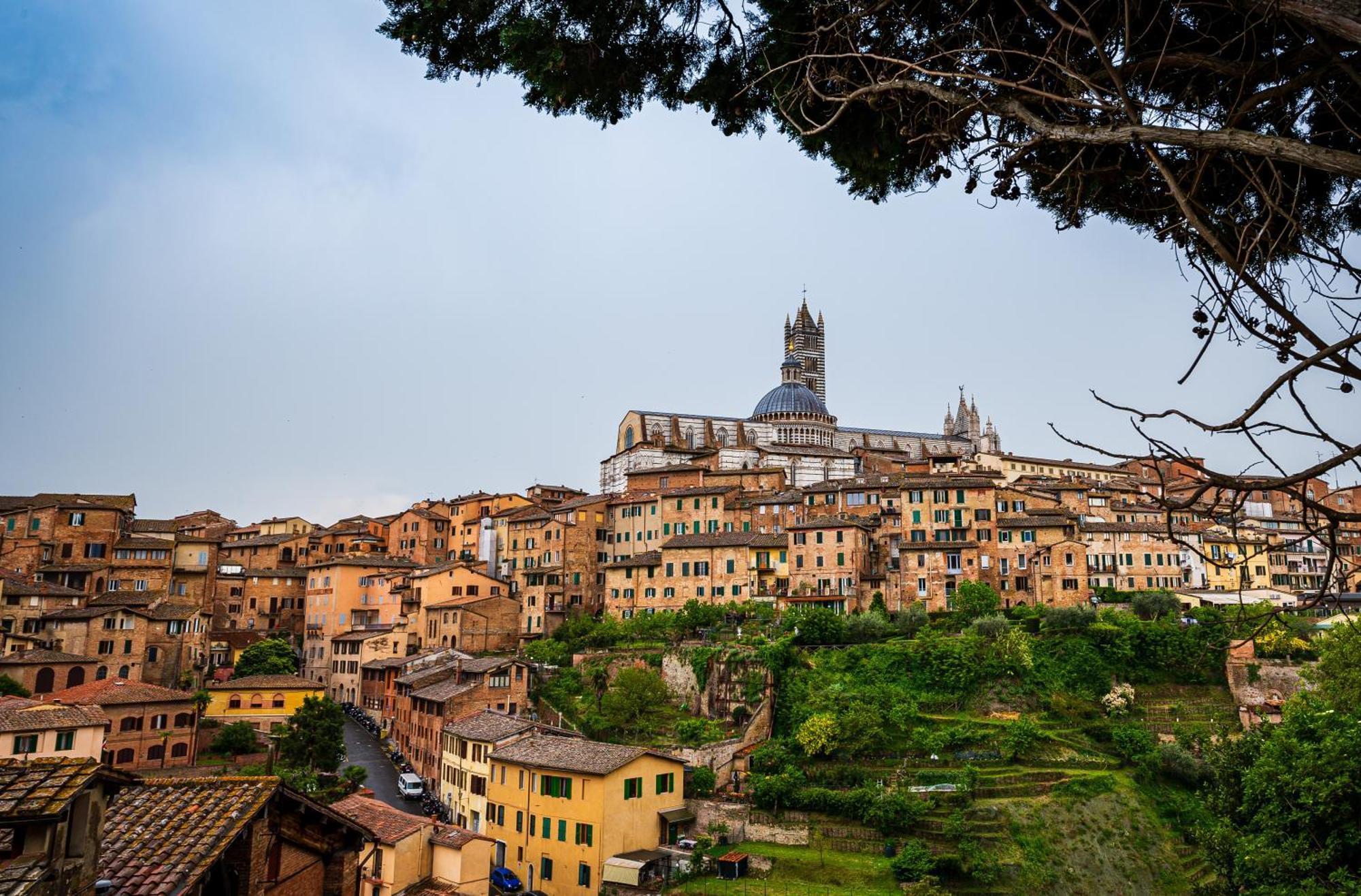Civico116 - Dentro Le Mura, Parcheggio Gratuito Siena Buitenkant foto